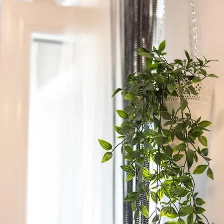 Charming Close To Bacvice And Center Daire