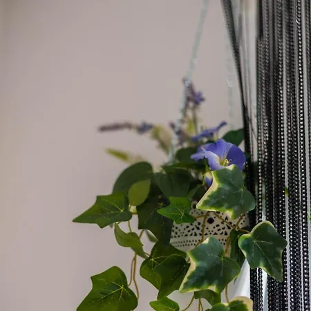 Apartament Charming Close To Bacvice And Center