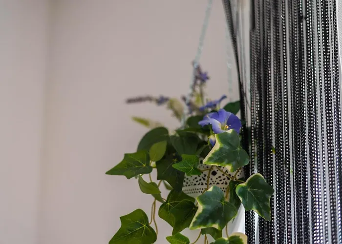 公寓 Charming Close To Bacvice And Center